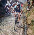 Vlaeminck.jpg
