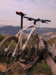 cannondale trail sl2.jpg