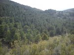 DSC00065.jpg