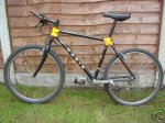 marin_pine_mountain_w_monoshox_169.jpg