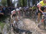 ParisRoubaix_VeloPress_BobRoll-vi.jpg