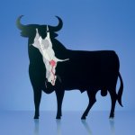www_mkcoolhunter_blogspot_com-toro-osborne-Antonio-garrigues.jpg