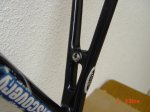 DSC02861.JPG
