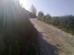 06042011551_1024x768.jpg