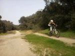 Pardo y varios movil 021.jpg