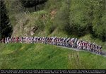 rvv11-bc.jpg