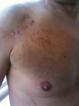 foto1.JPG