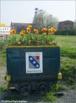 rbx07pave-tulips.jpg