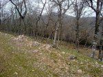 03042011090.jpg