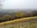 03042011089.jpg