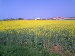 Foto0002.jpg