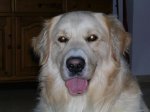 DSCN34271.JPG