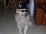 DSCN34241.JPG