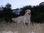 DSCN25361.JPG
