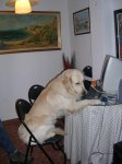 DSCN1732.jpg