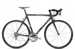 madonessl69_pewter.jpg