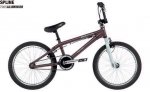 NORCO05SPLINE.jpg