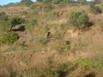 ruta castefa 065.JPG