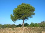 DSCN9308.jpg