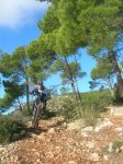 DSCN9313.jpg