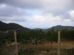 DSCF0414.JPG