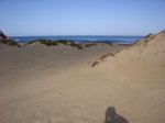 IMG_0857.jpg