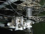 DSC07281.JPG