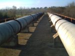 PICT0010.JPG