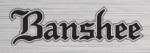 banshee_logo.gif