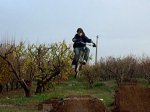 BoBeT Jump 5_0001.jpg