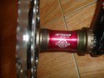 DSC02227.JPG