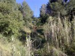 090420112289_1024x768.jpg