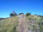 09042011298.jpg