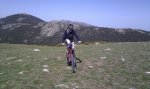 IMAG0201.jpg