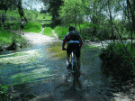 Arroyo-Carnero2.gif