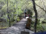 080420111278.jpg
