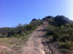 IMG_0330_1.jpg