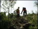 PICT0175.jpg