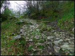 P1020745web.jpg