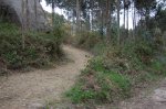 DSC_3913.jpg