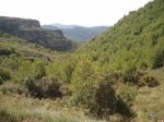 2011-04-10 11.37.38.jpg