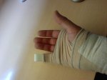 P1008_11-04-11.JPG