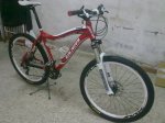 06042011537.jpg
