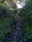 DSC01164.jpg