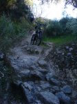 DSC01177.jpg