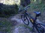 DSC01176.jpg