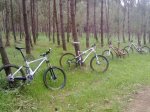 enduro.jpg