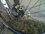 IMG00312-20110411-1226.jpg