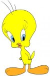 Piolin-200x300.jpg