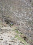 SAM_0473.JPG